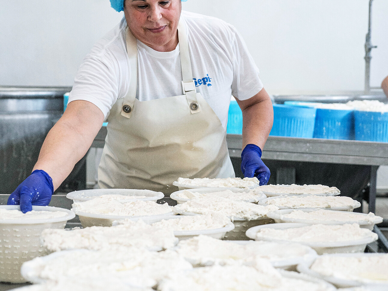Cagliata Ricotta Sepi Formaggi