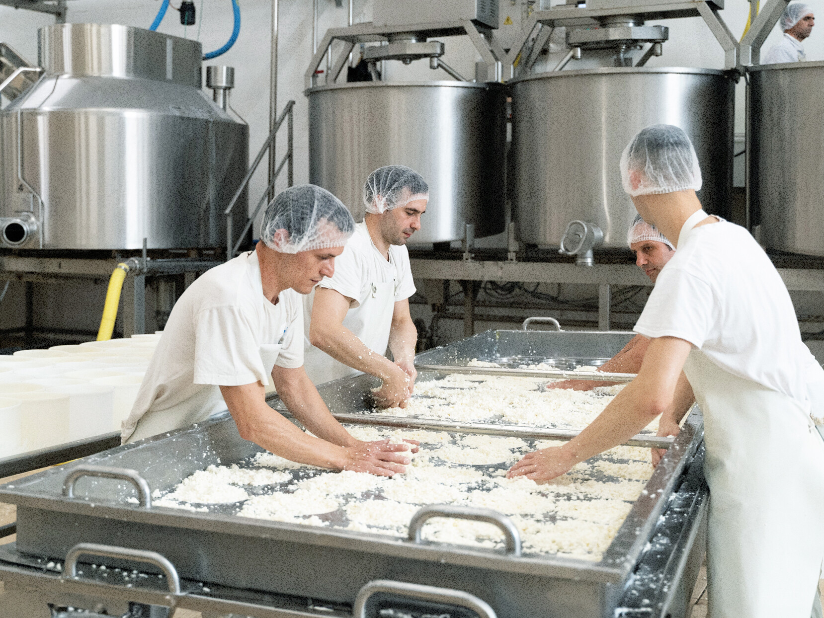 Messa in forma Ricotta Sepi Formaggi