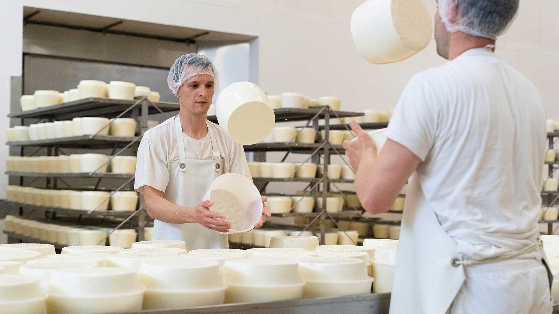 Casari che girano formaggi